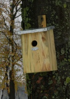 Spiegelnestkast